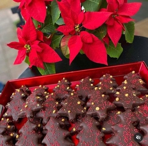 2024  Mutluluk Çamları Çikolata Kaplı Badem Ezmesi - 65 gr - 1 adet