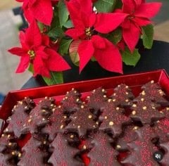 2024  Mutluluk Çamları Çikolata Kaplı Badem Ezmesi - 65 gr - 1 adet